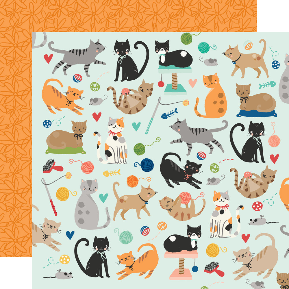 Fur Baby Cat - Collection Kit