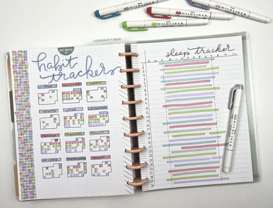 Zebra Mildliner Dual-Tip Highlighter