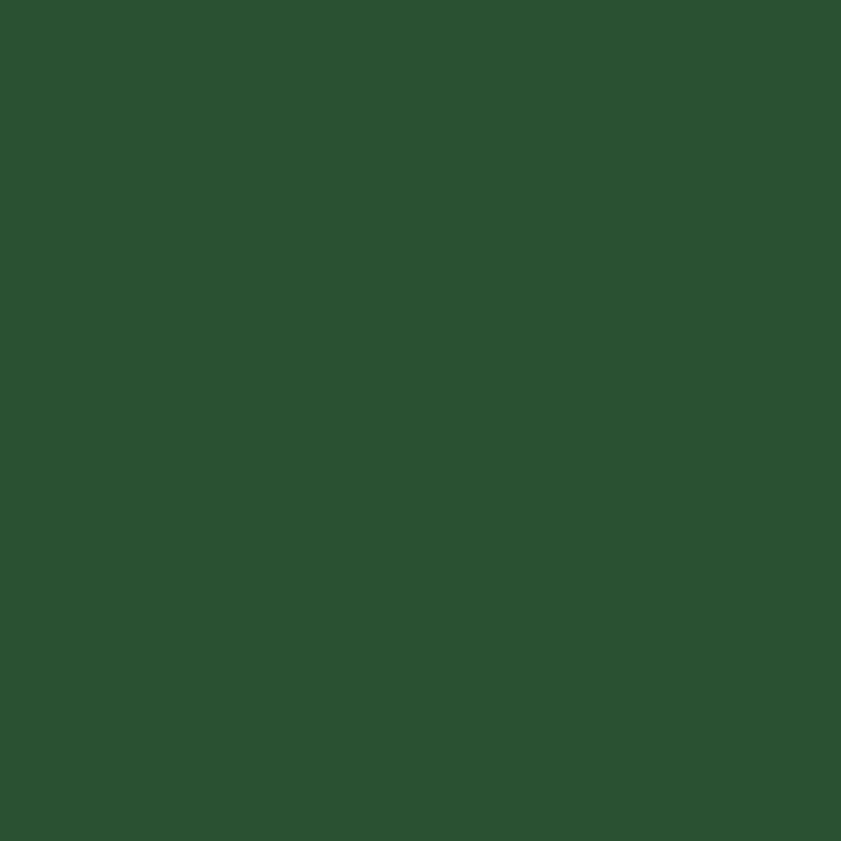 Bazzill 12x12 Cardstock - Dark Olive