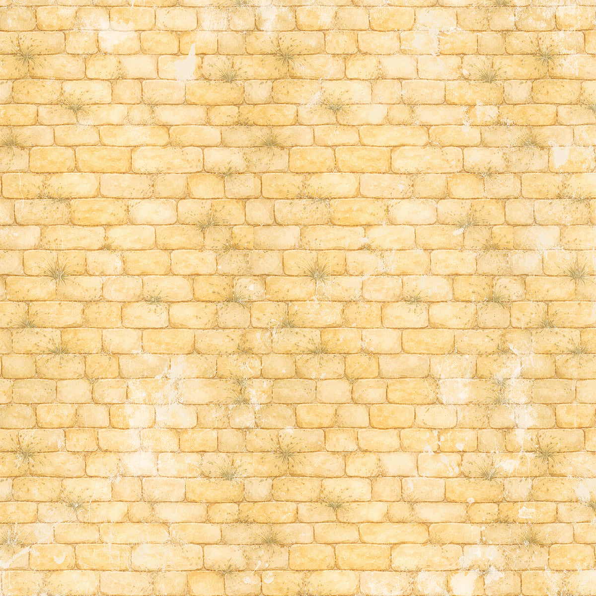49 and Market - Chronicles of Oz Paper - Nowhere Near Home official product image 3