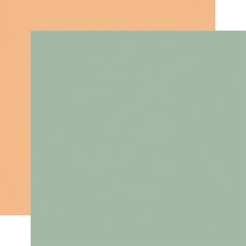 Baby Boy Collection: Green/Orange 12'x12' Cardstock: Echo Park