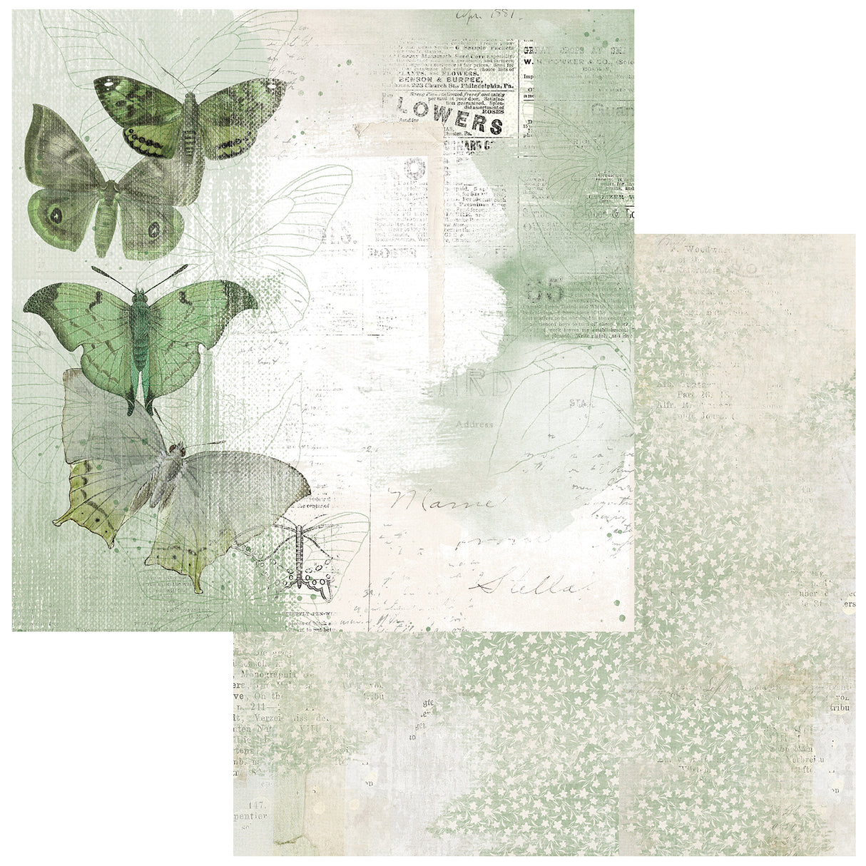 Color Swatch Willow 12x12 Paper Collection Pack