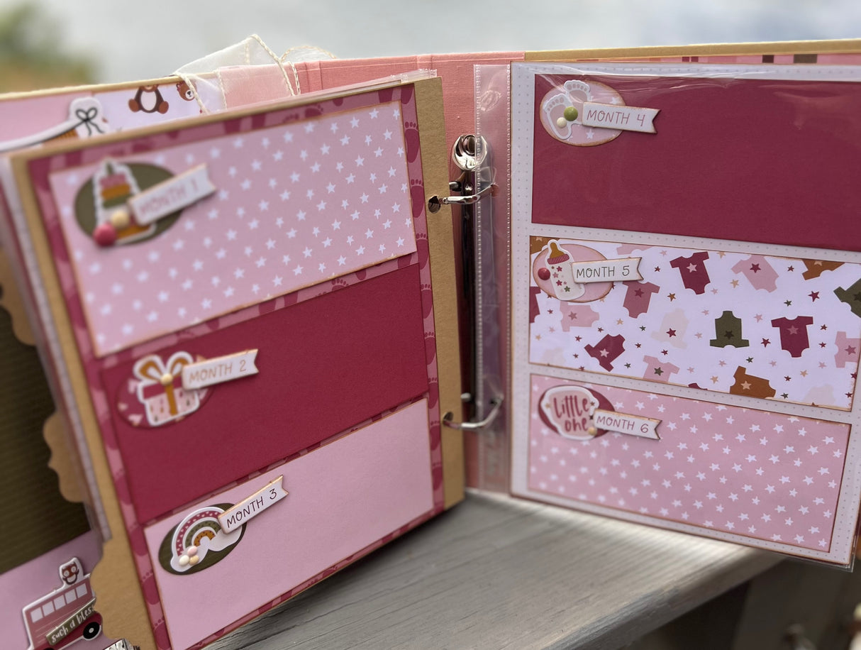 Special Delivery Baby Girl Album"