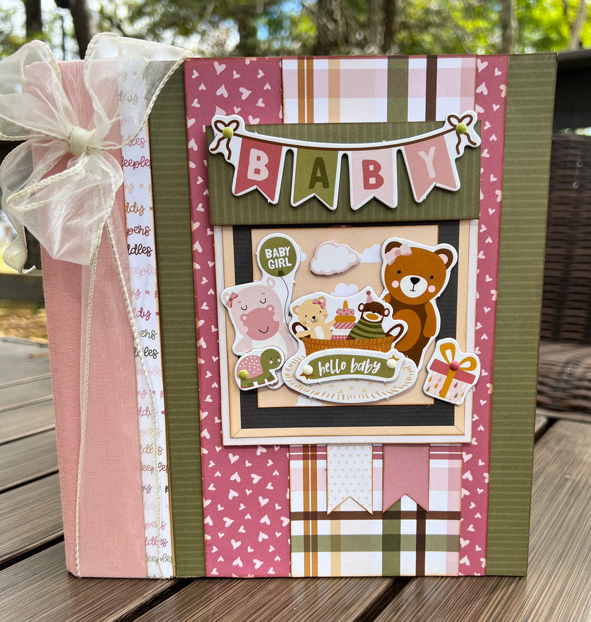 Special Delivery Baby Girl Album"