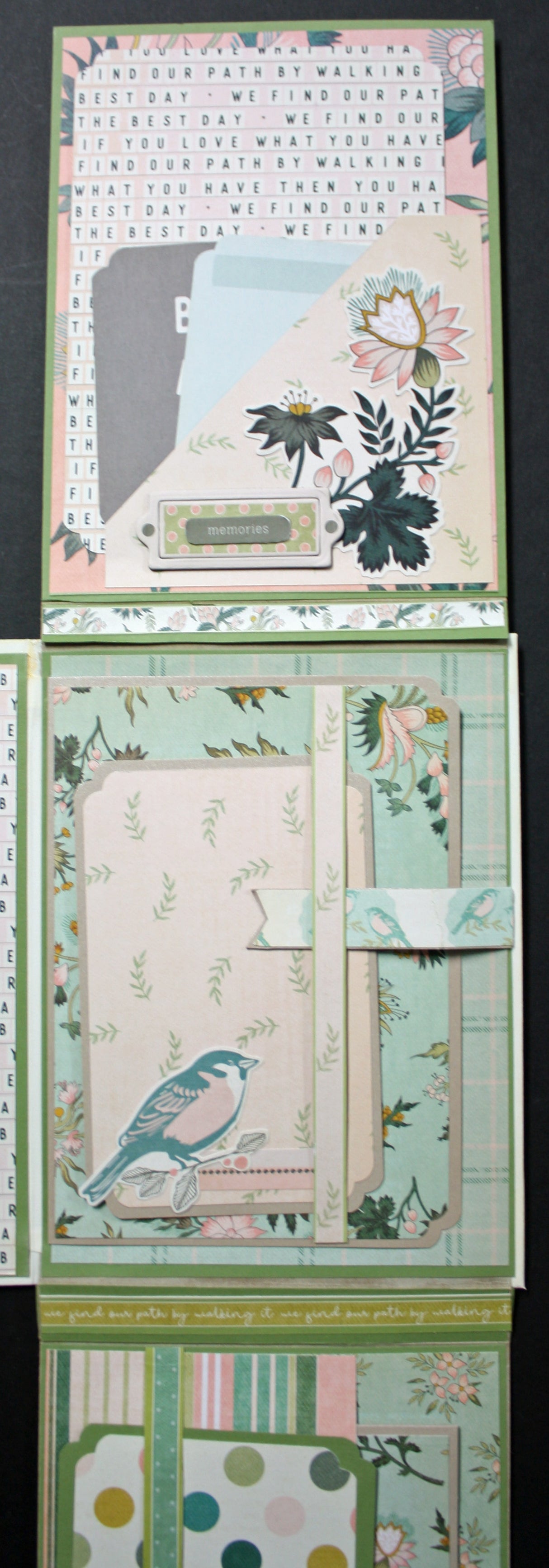 Wild Asparagus Folio by Nancy Wethington