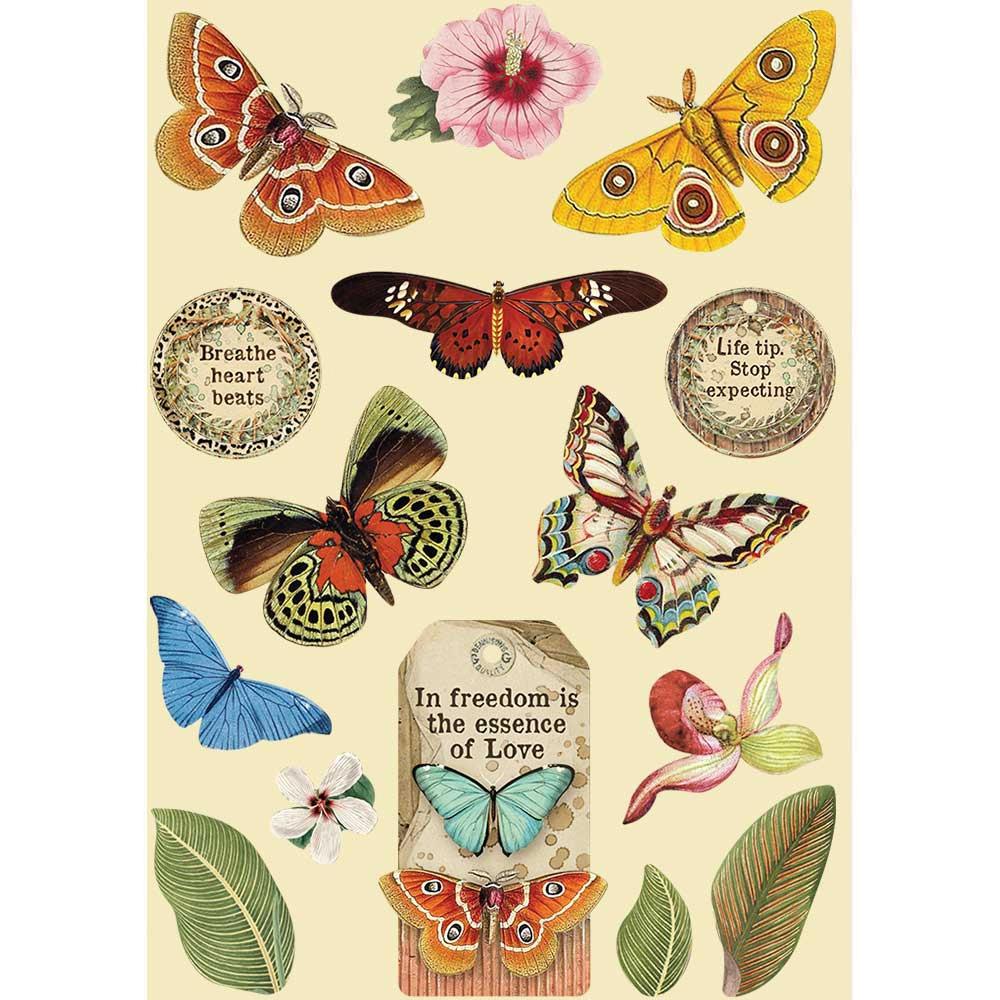 Butterfly, Amazonia Wooden Shapes A5