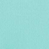 Aruba -  Canvas Bazzill Mono Cardstock 12"X12"