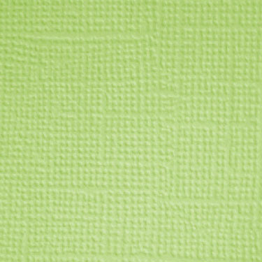 Doodlebug Textured Cardstock 12"X12" Limeade