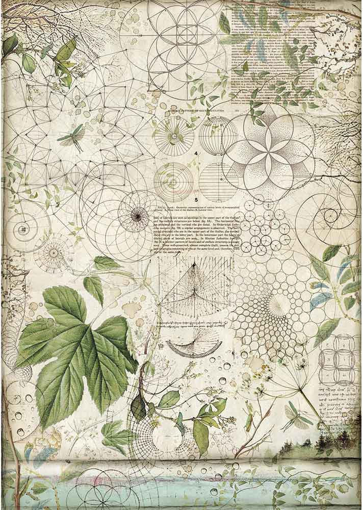 Geometry with Leaves Stamperia Rice Paper Sheet A3
