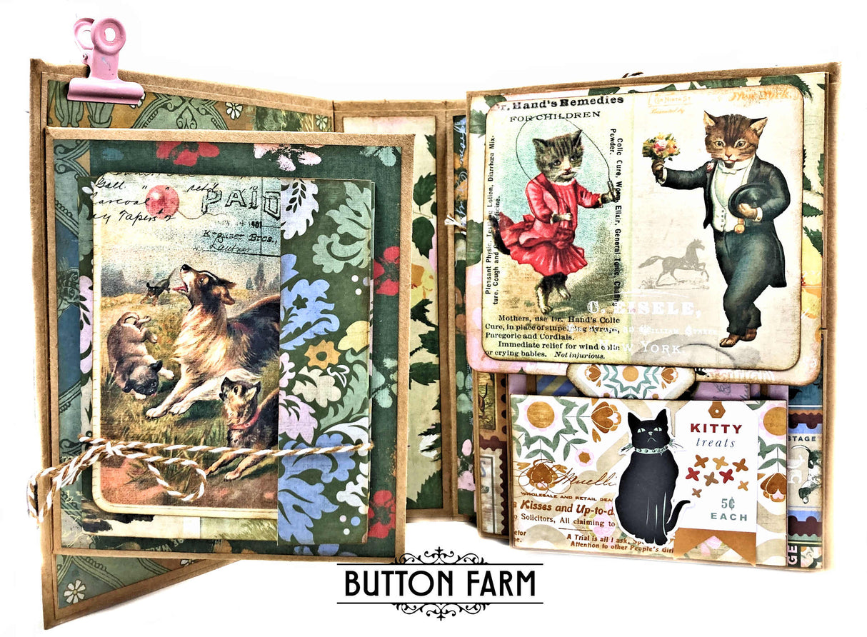 Spot and Oliver Interactive Folio
