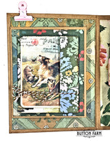 Spot and Oliver Interactive Folio