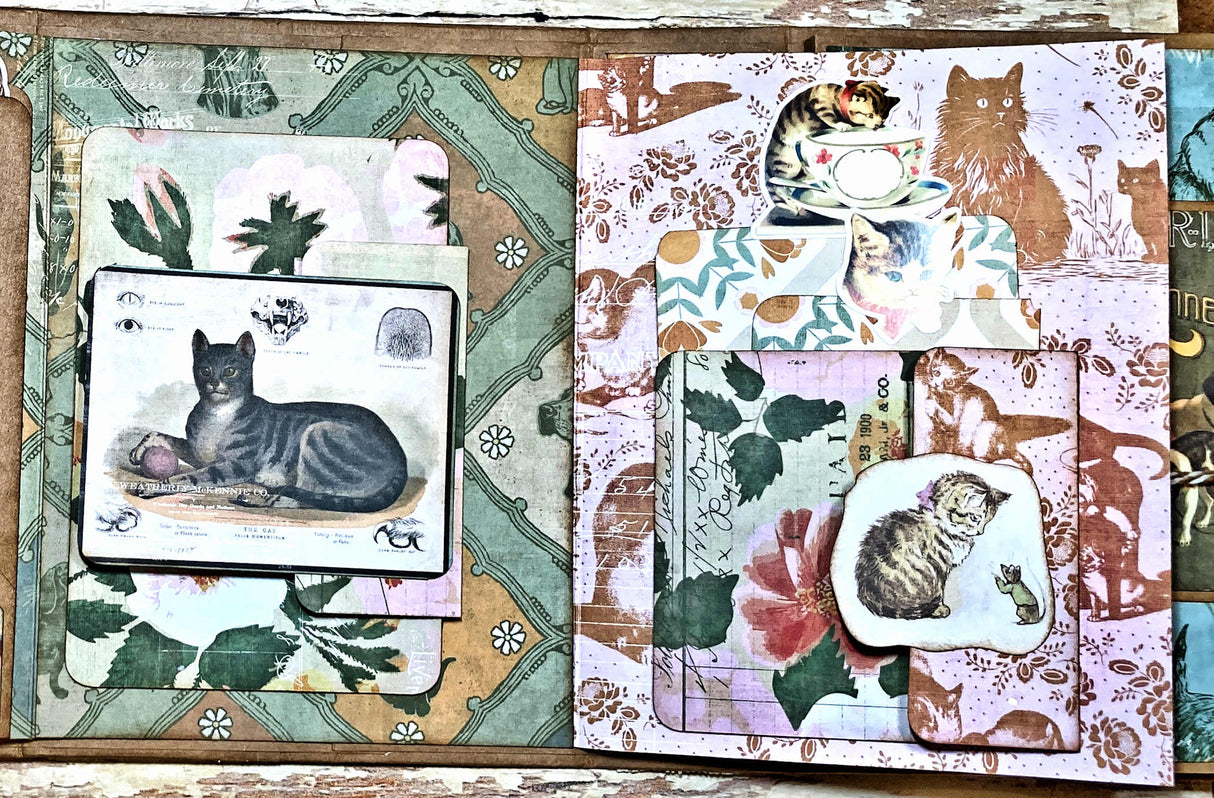 Spot and Oliver Interactive Folio