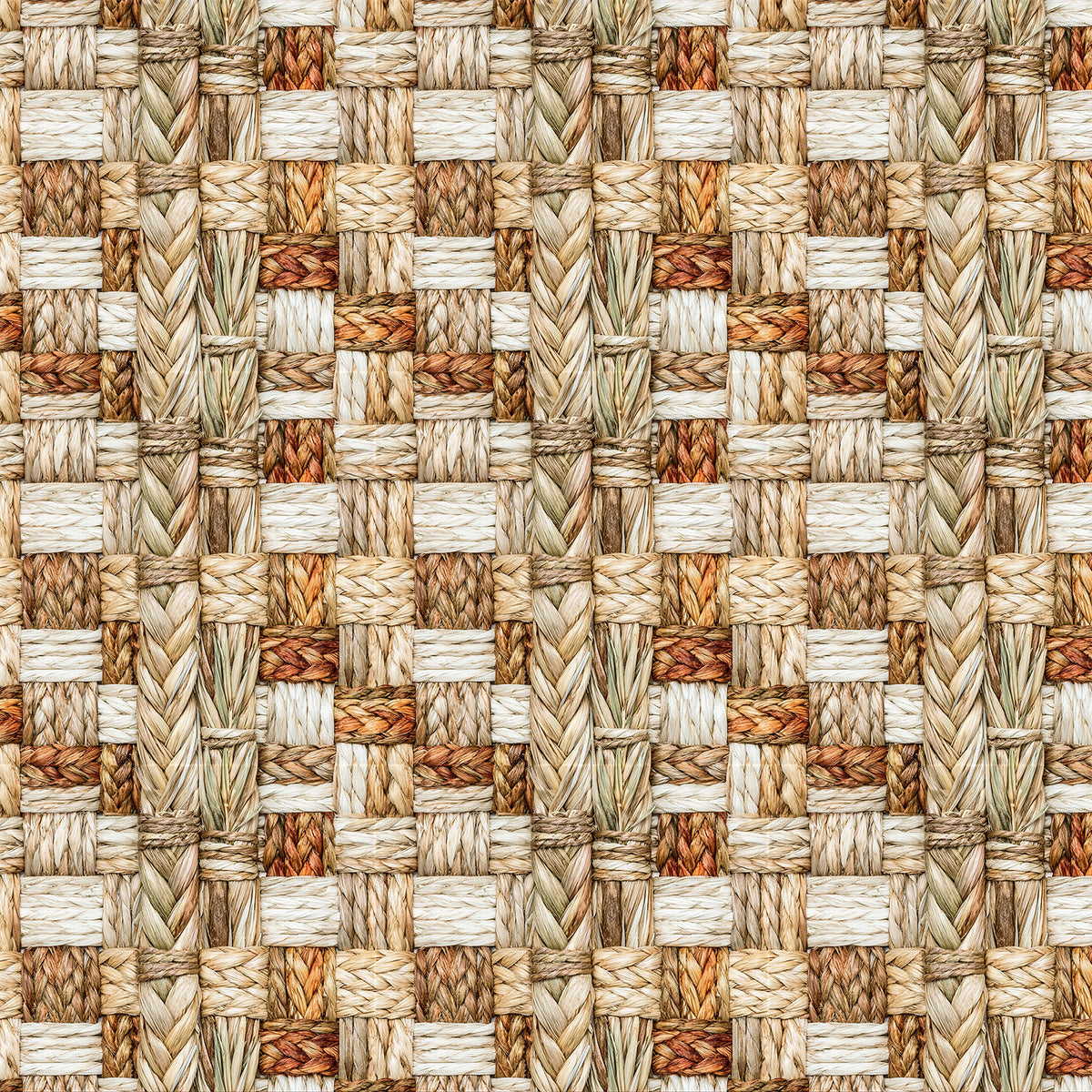 49 and Market - Season's Bounty Paper - Together official product image 3