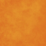 49 and Market - Season's Bounty Solids Sheet - 2 official product image 2