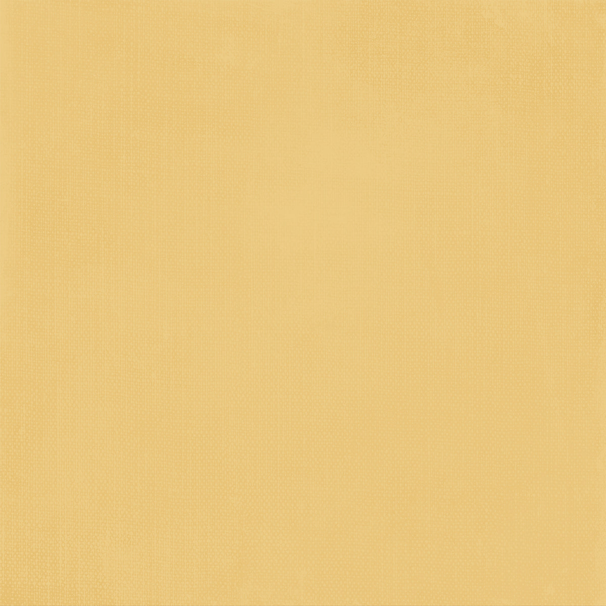 49 and Market - Season's Bounty Solids Sheet - 2 official product image 3