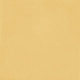 49 and Market - Season's Bounty Solids Sheet - 2 official product image 3