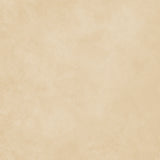 49 and Market - Season's Bounty Solids Sheet - 4 official product image 3