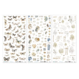 49 and Market 6 x12 Blendable Rub-on Transfer Set - Faded Memory Lane