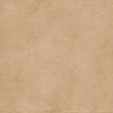 49 and Market - Chronicles of Oz Solids Sheet - Vintage Leather official product image 2