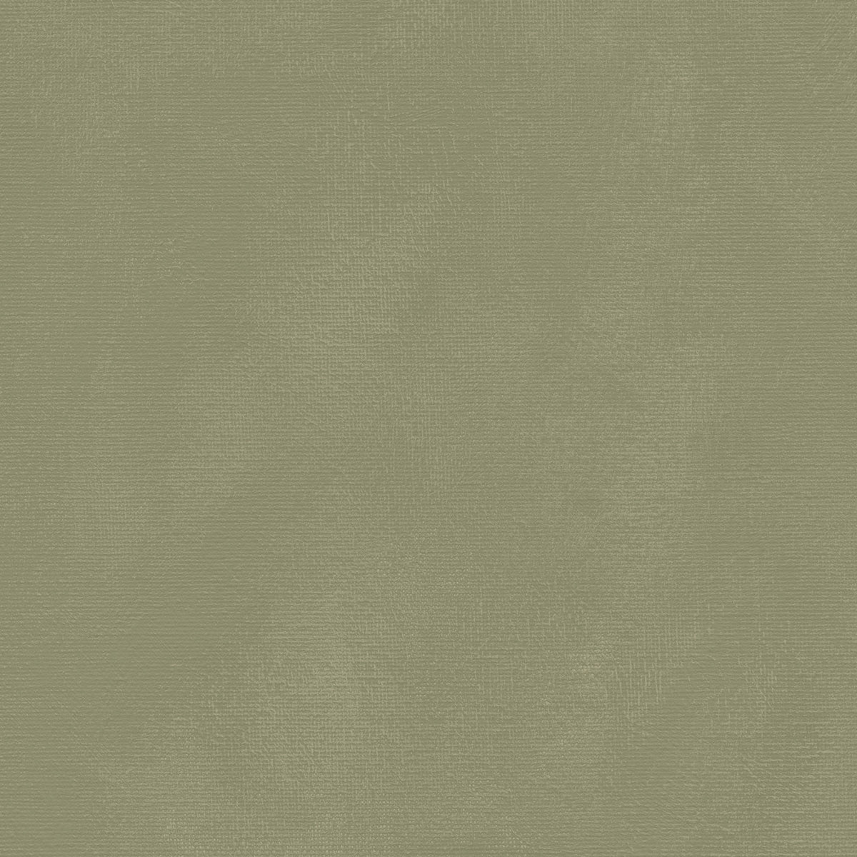 49 and Market - Chronicles of Oz Solids Sheet - Weathered Moss official product image 2