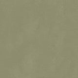 49 and Market - Chronicles of Oz Solids Sheet - Weathered Moss official product image 2