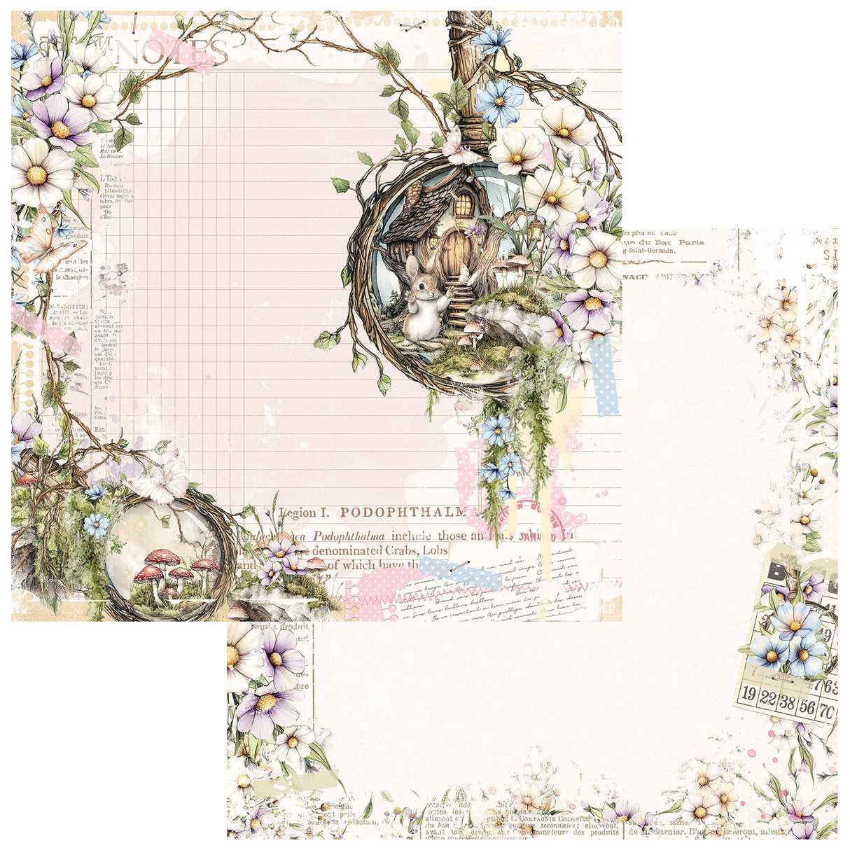 49 and Market 12 x12 Collection Pack- The Looking Glass