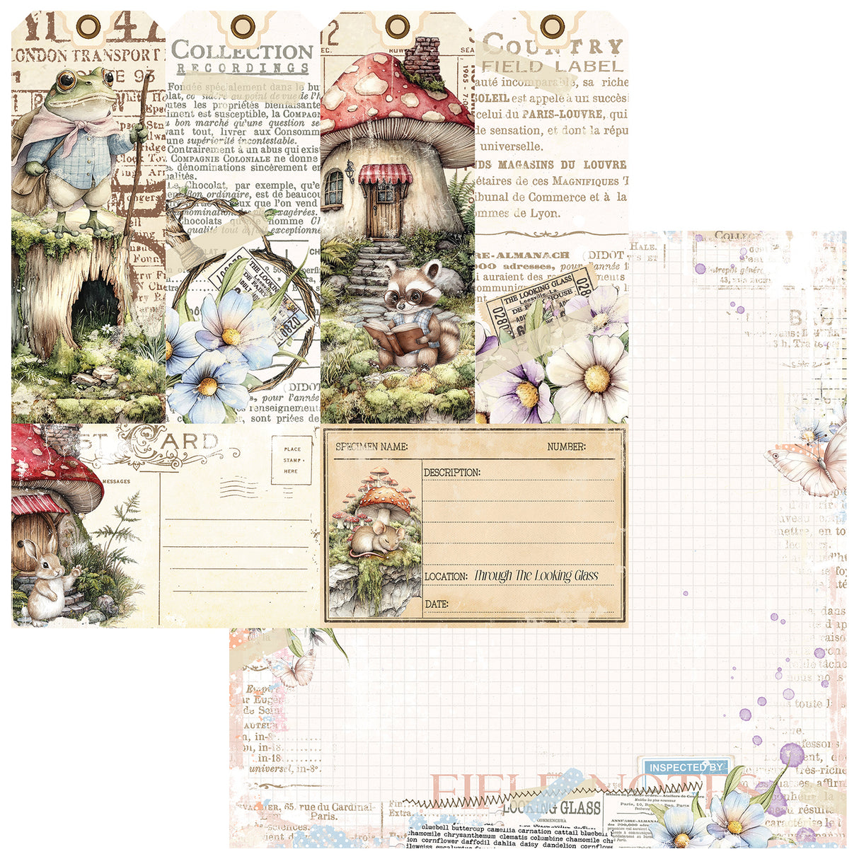 49 and Market 12 x12 Collection Pack- The Looking Glass