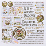 49 and Market Chipboard Sentiments - The Looking Glass