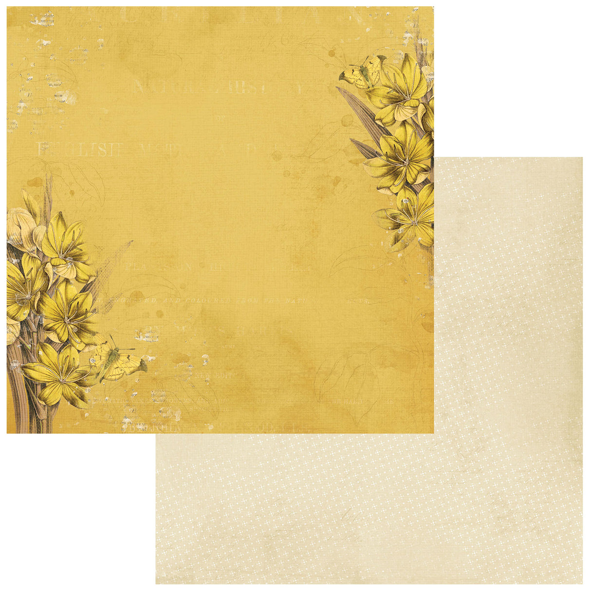 Color Swatch Ochre 12x12 Paper Collection Pack