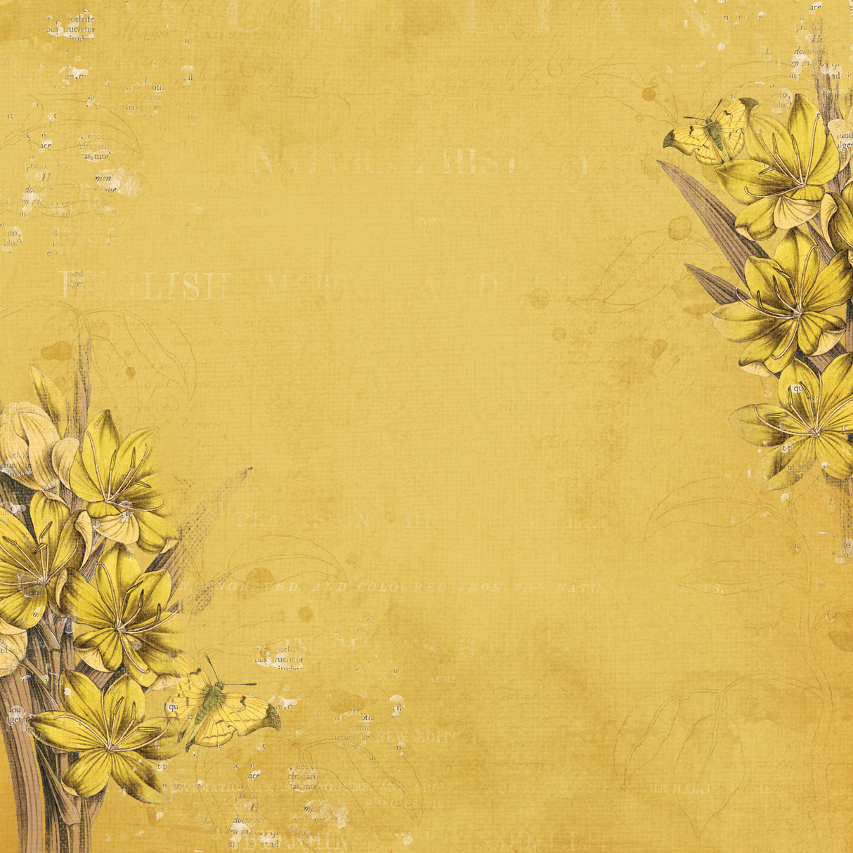 Color Swatch Ochre 12x12 Paper Collection Pack