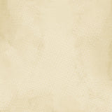 Color Swatch Ochre 12x12 Paper Collection Pack
