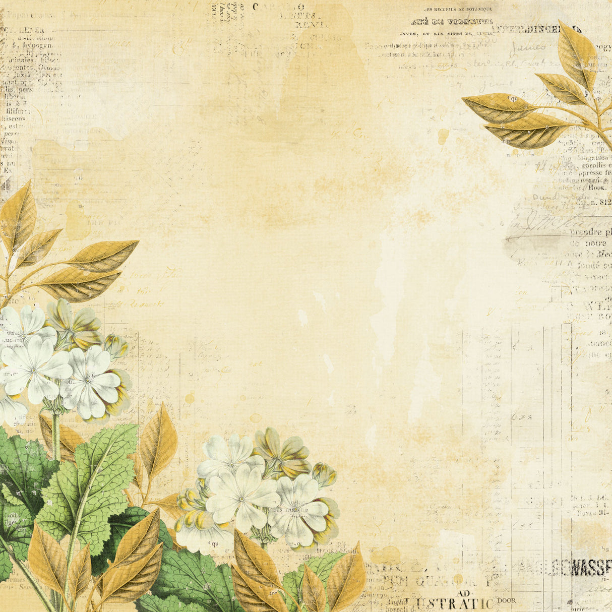 Color Swatch Ochre 12x12 Paper Collection Pack