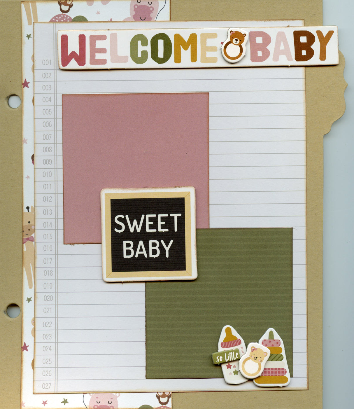 Special Delivery Baby Girl Album"