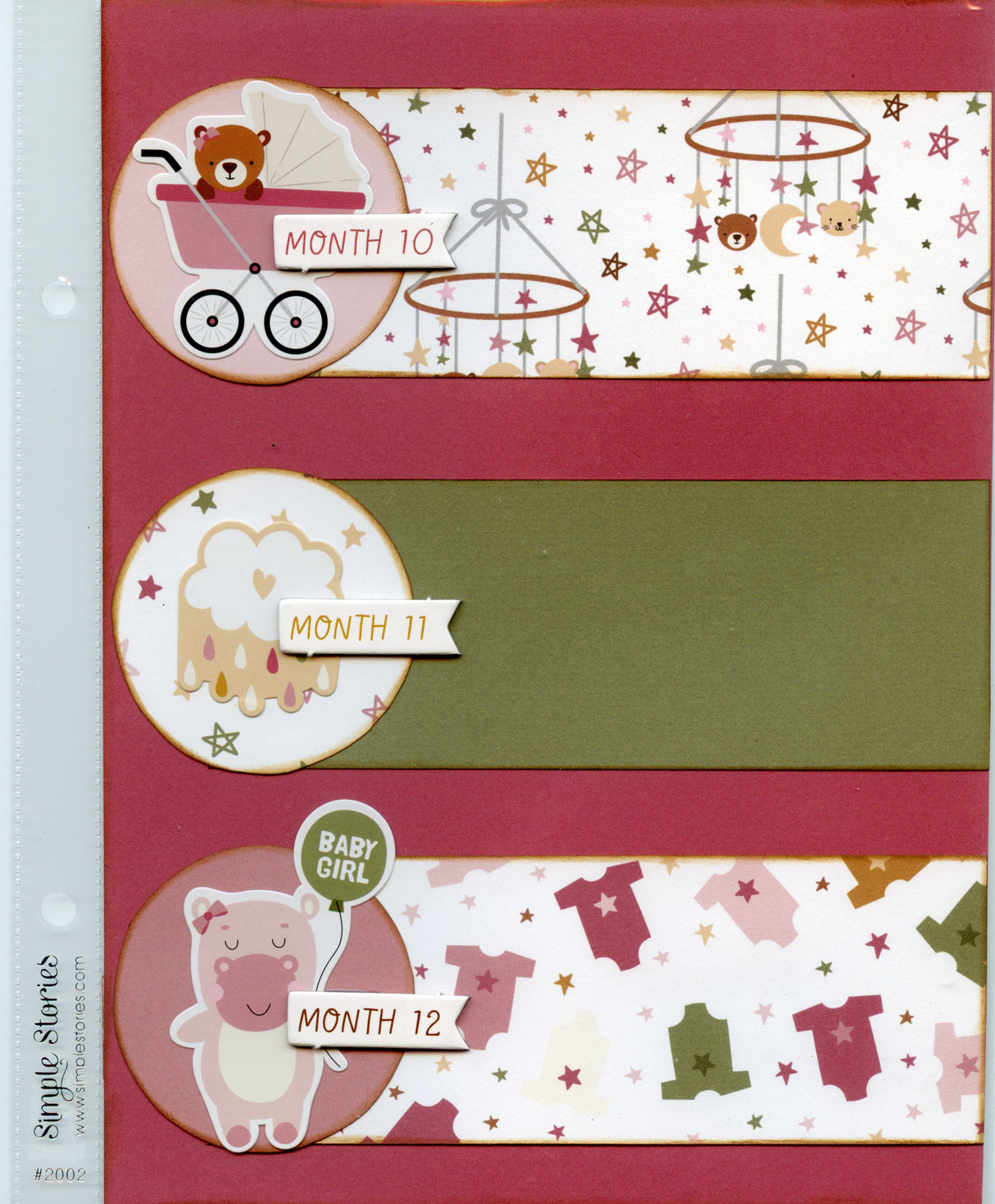 Special Delivery Baby Girl Album"