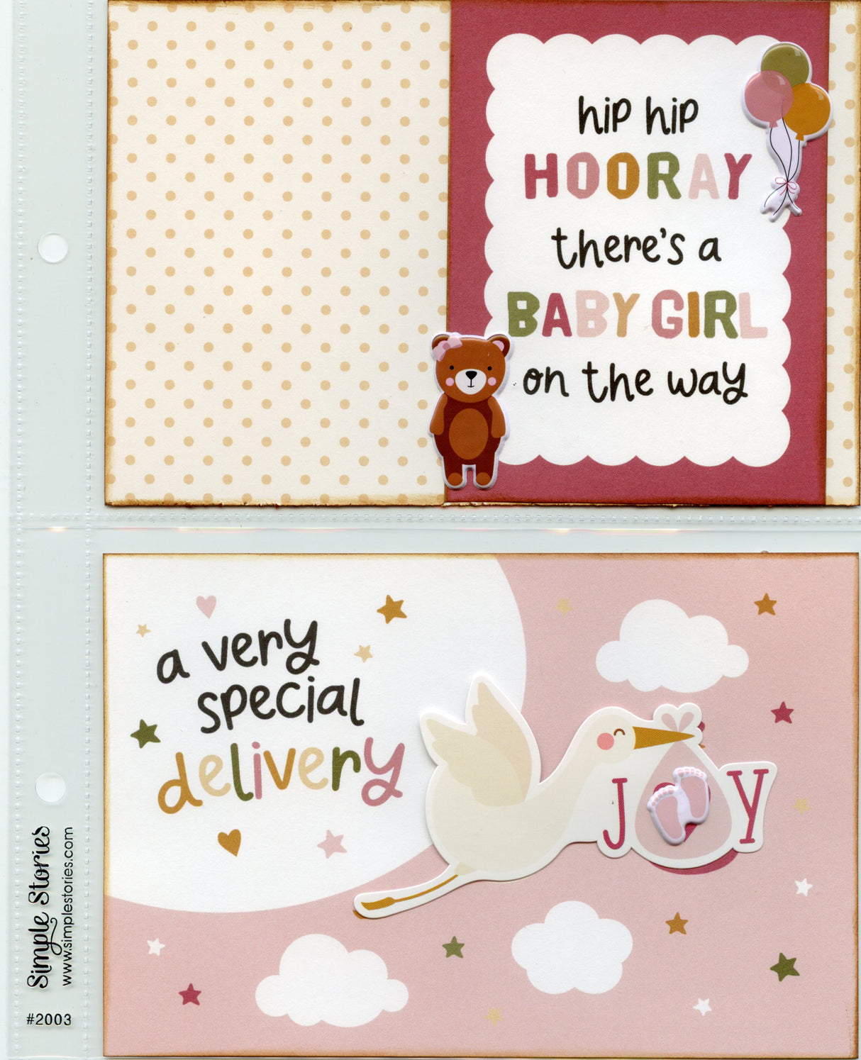 Special Delivery Baby Girl Album"