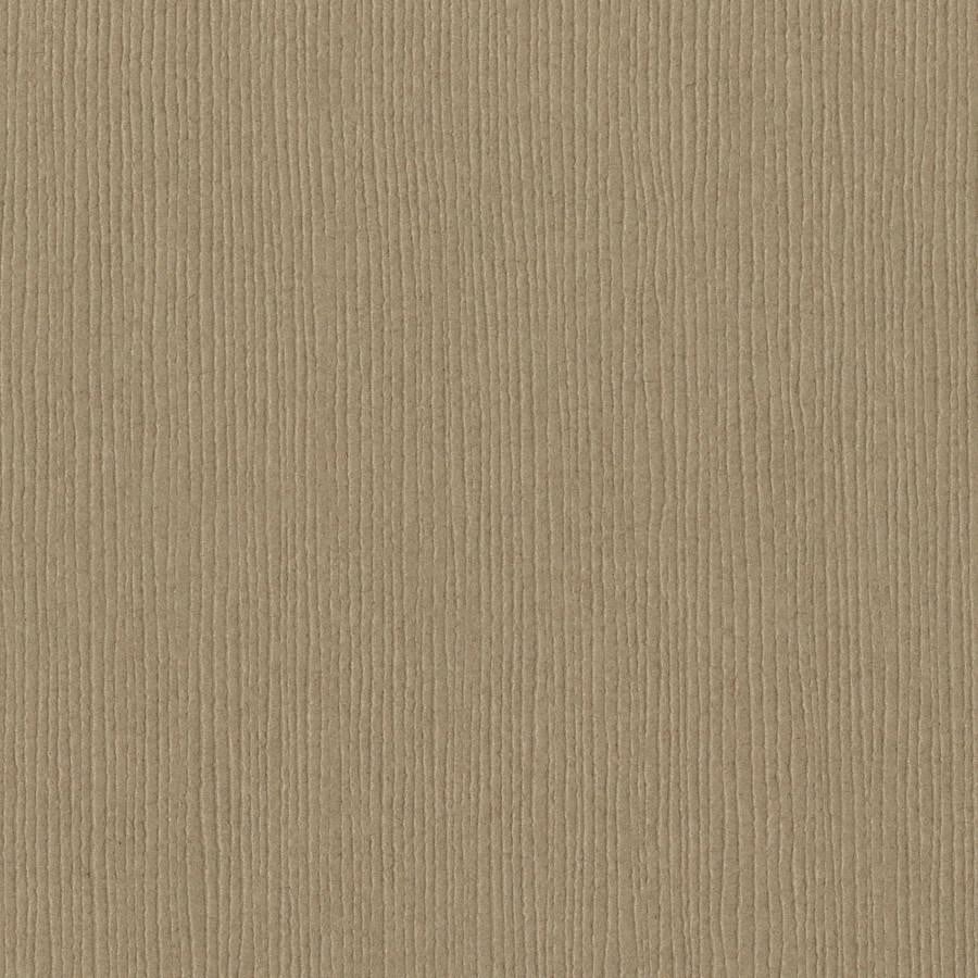Bazzill 12x12 Cardstock - Quicksand