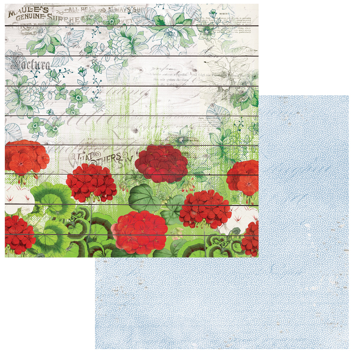 Summer Porch 12x12 Paper Collection Pack