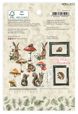 P13 Into the Woods Ephemera Bits & Pieces