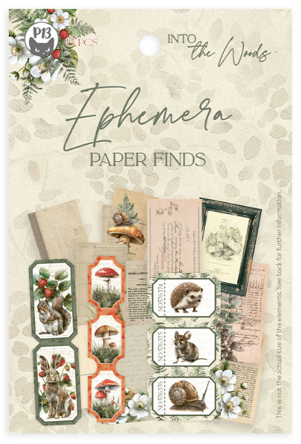 P13 Into the Woods Ephemera Paper Finds
