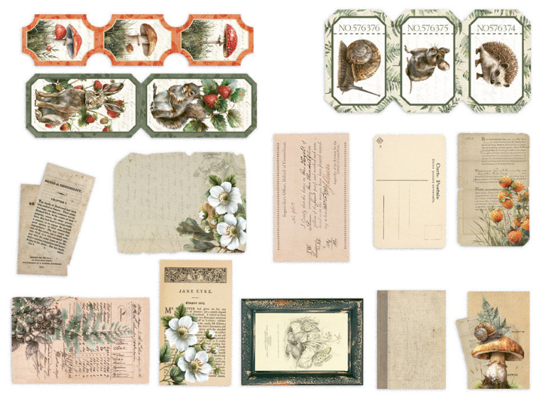 P13 Into the Woods Ephemera Paper Finds