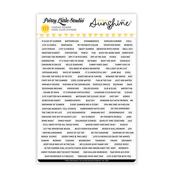 Chasing Summer-Clear Stickers