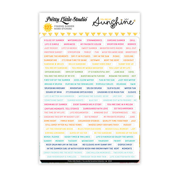 Chasing Summer - Word Stickers