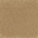 Curiosities in Willow Grove 12x12 Starters Collection Pack (10 papers, 1 ea)