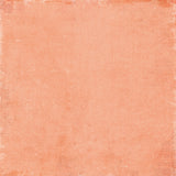 Curiosities in Willow Grove 12x12 Staples Pack (5 papers, 2 ea)