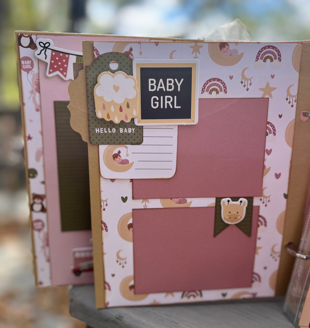 Special Delivery Baby Girl Album"