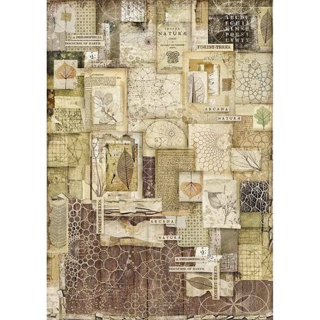 Frames Stamperia Rice Paper Sheet A3