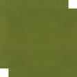 Color Vibe 12x12 Textured Cardstock - Avocado