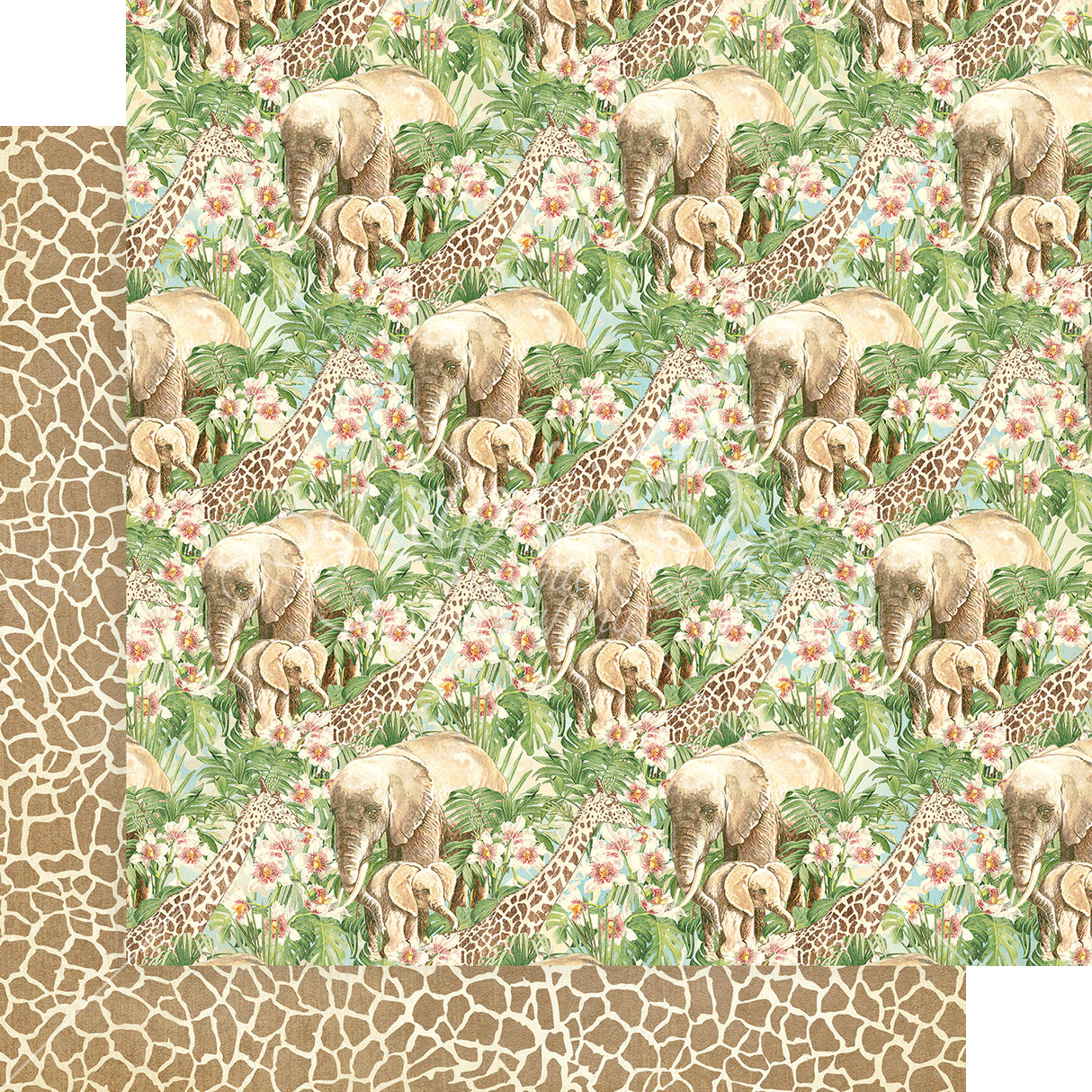 Wild & Free 12x12 Collection Pack