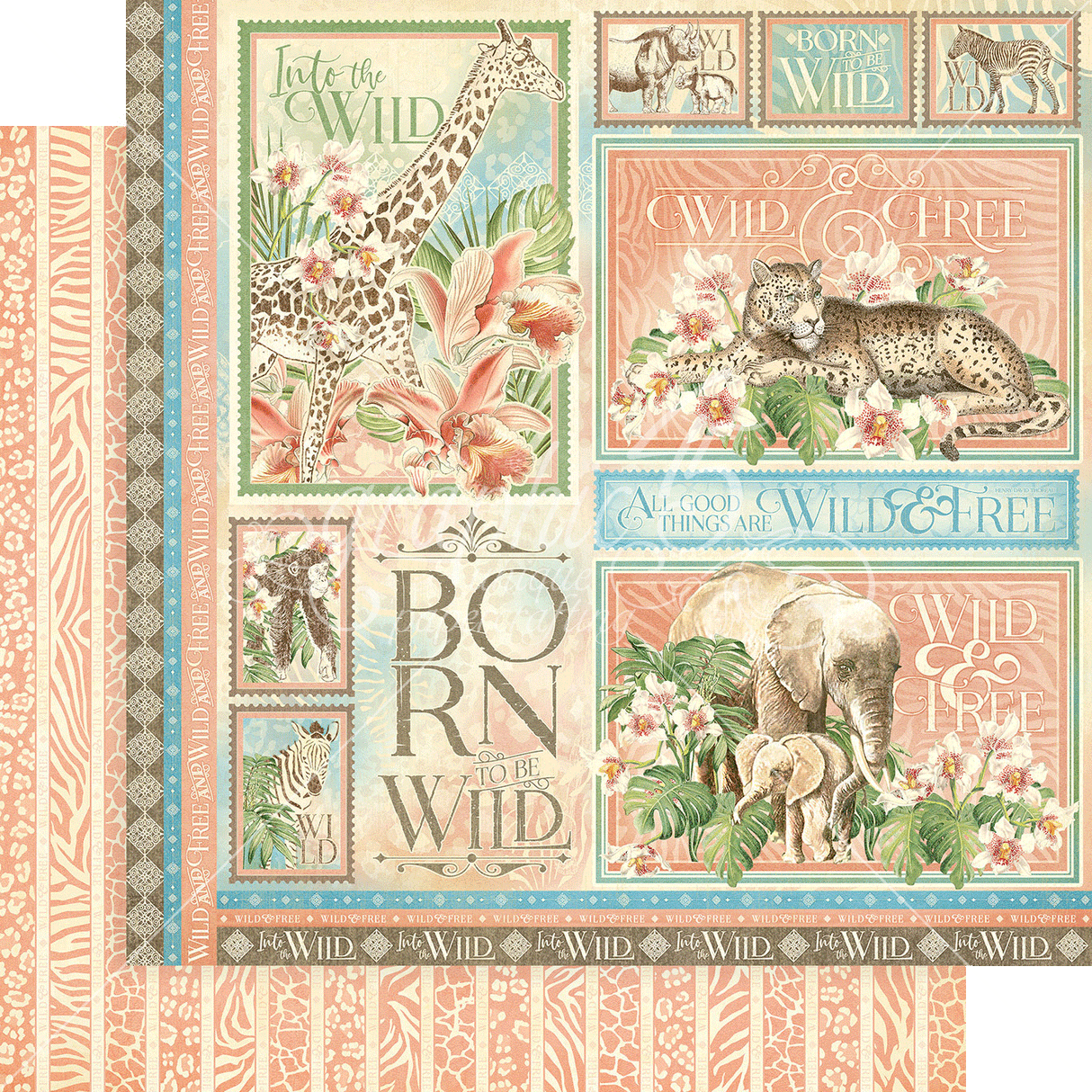 Wild & Free 12x12 Collection Pack