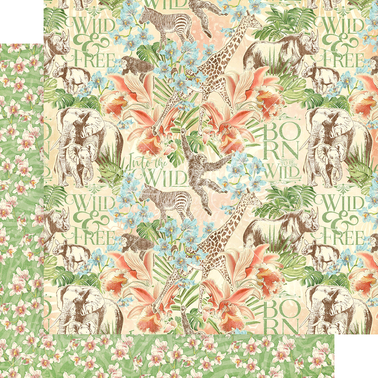 Wild & Free 12x12 Collection Pack